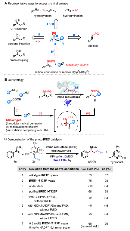 廈大王斌舉/南大黃小強(qiáng)，最新JACS！