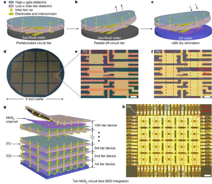 湖南大學-物理與微電子科學學院，再發(fā)Nature！