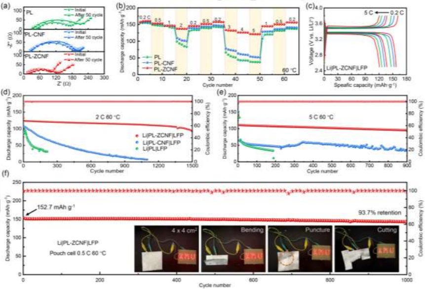 廈門大學(xué)王鳴生Angew：水系澆鑄法革新固態(tài)電解質(zhì)