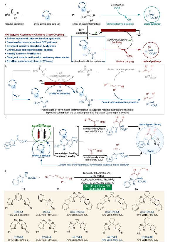 中科大郭昌團(tuán)隊(duì)，最新Nature子刊！