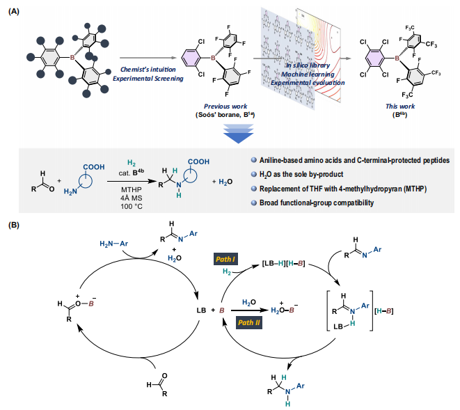 最新Nature子刊：計(jì)算化學(xué)+機(jī)器學(xué)習(xí)，確定最佳催化劑結(jié)構(gòu)！