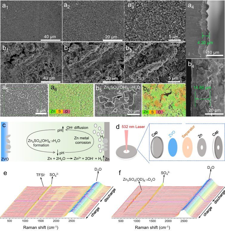 博士畢業(yè)不到3年，晉升教授，中科大任曉迪，最新Nature子刊：效率高達(dá)99.7%！