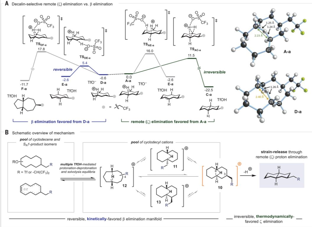 牛！他，半年三篇正刊，新發(fā)第二篇Science！