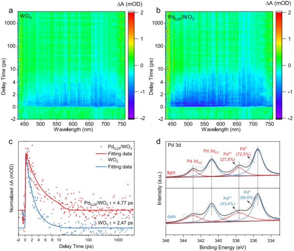 2023新晉院士，最新JACS！