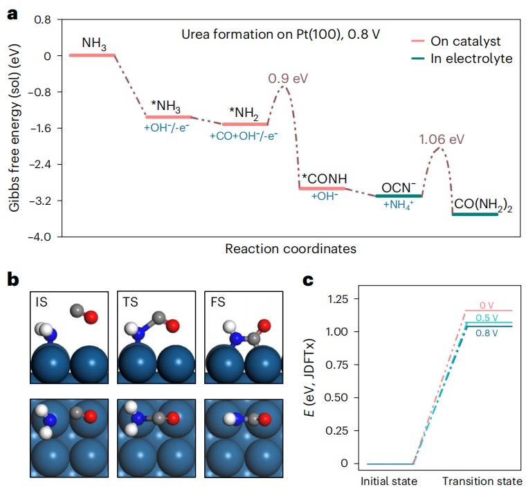 清華大學(xué)/北京大學(xué)/蘇州大學(xué)，三校聯(lián)手重磅Nature Catalysis！