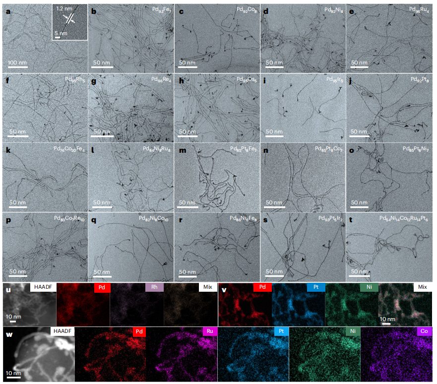 繼Nature Materials后，華科李箐再發(fā)Nature Catalysis！