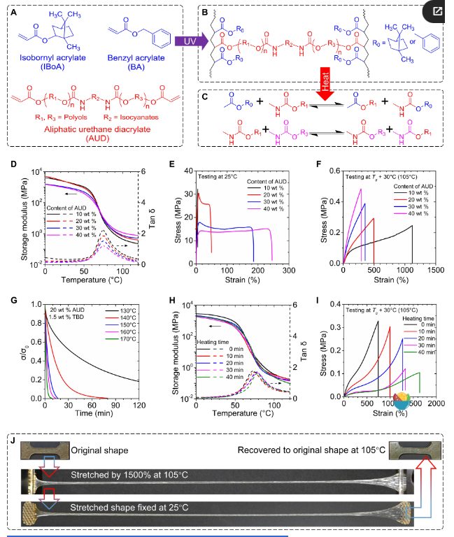 他，發(fā)表全球首篇“4D打印”論文，全球前2%頂尖科學(xué)家，最新Science子刊！