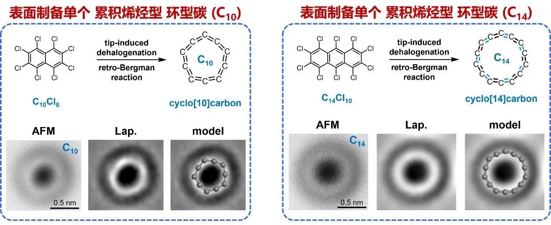 Nature重磅：首次合成，化學(xué)重大突破！