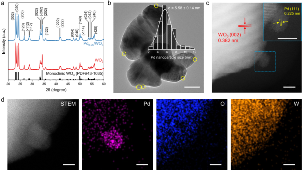 2023新晉院士，最新JACS！