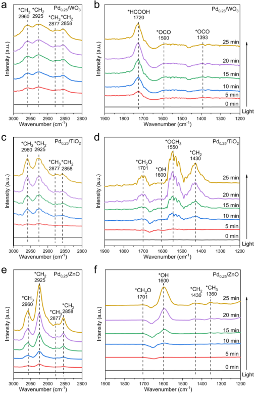 2023新晉院士，最新JACS！