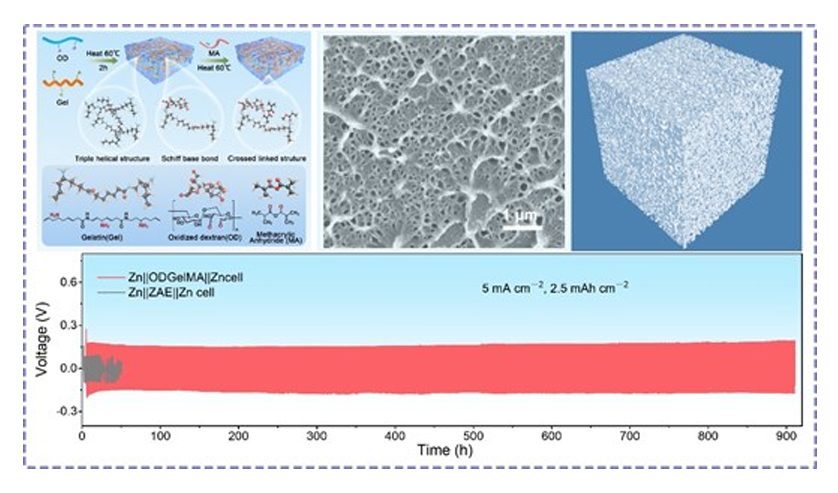 清華深研院/先進院AM：堅韌明膠基水凝膠助力鋅金屬電池