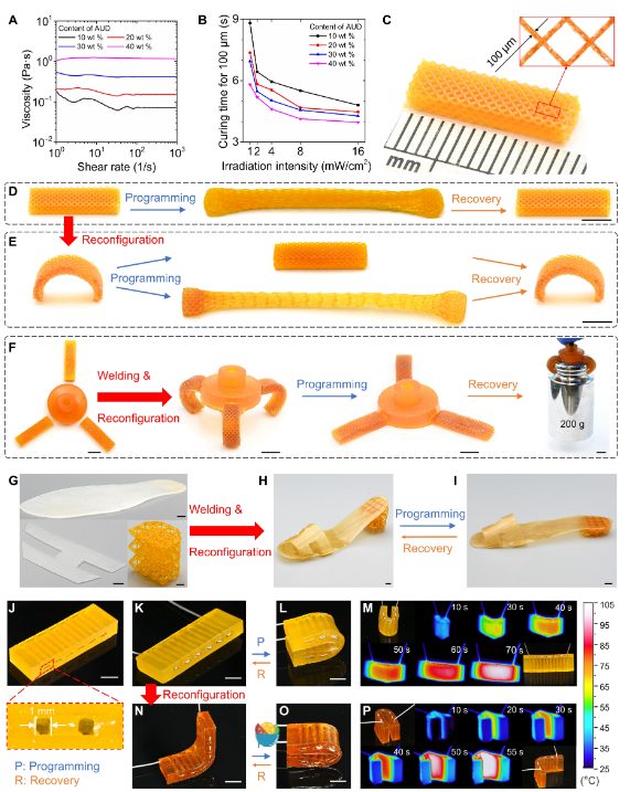 他，發(fā)表全球首篇“4D打印”論文，全球前2%頂尖科學(xué)家，最新Science子刊！