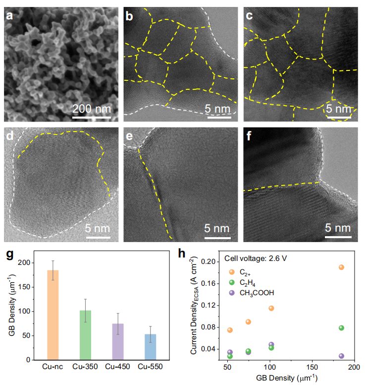 大連化物所汪國雄&高敦峰，最新Nature子刊！