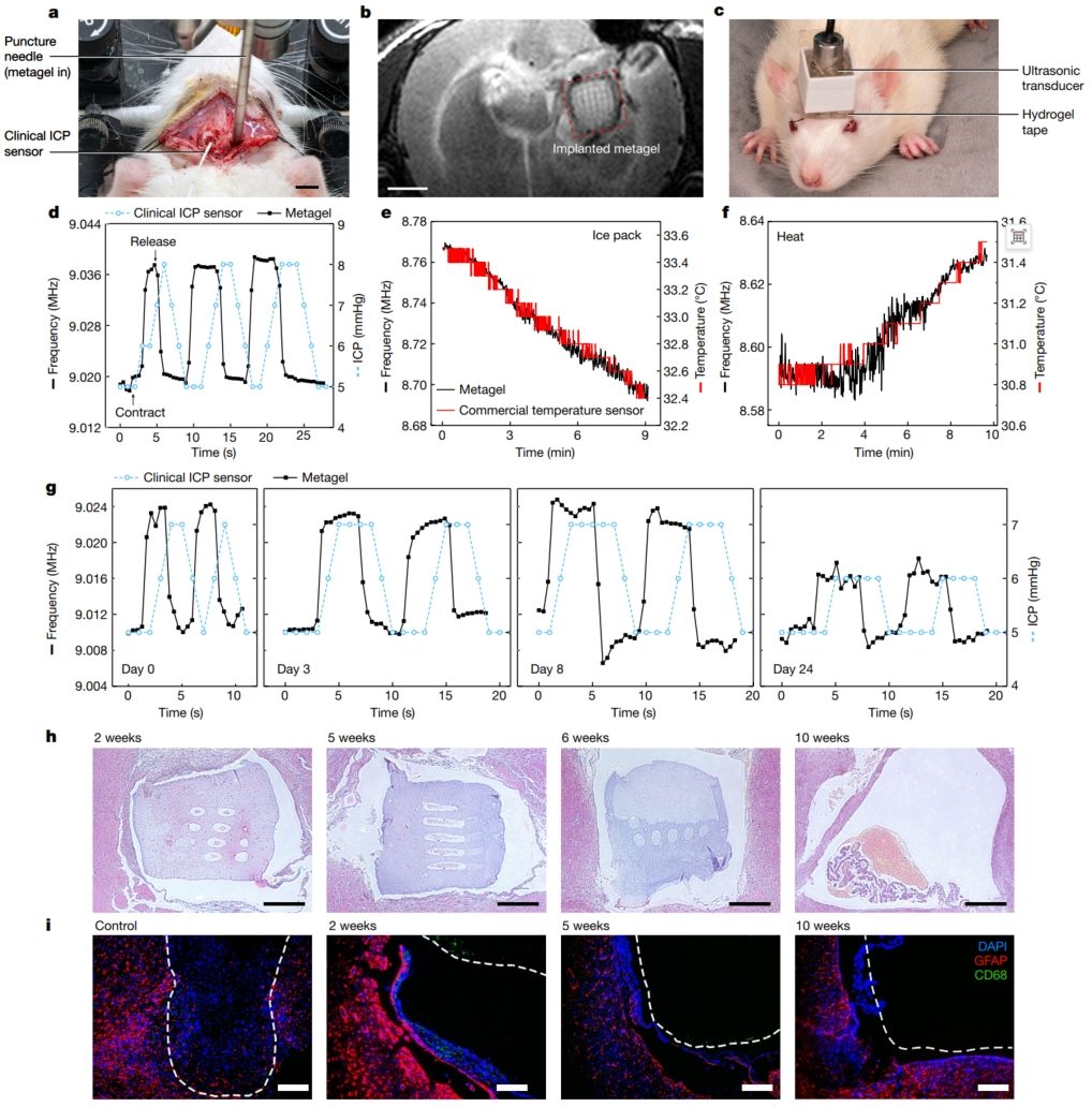 華中科技大學，最新Nature！