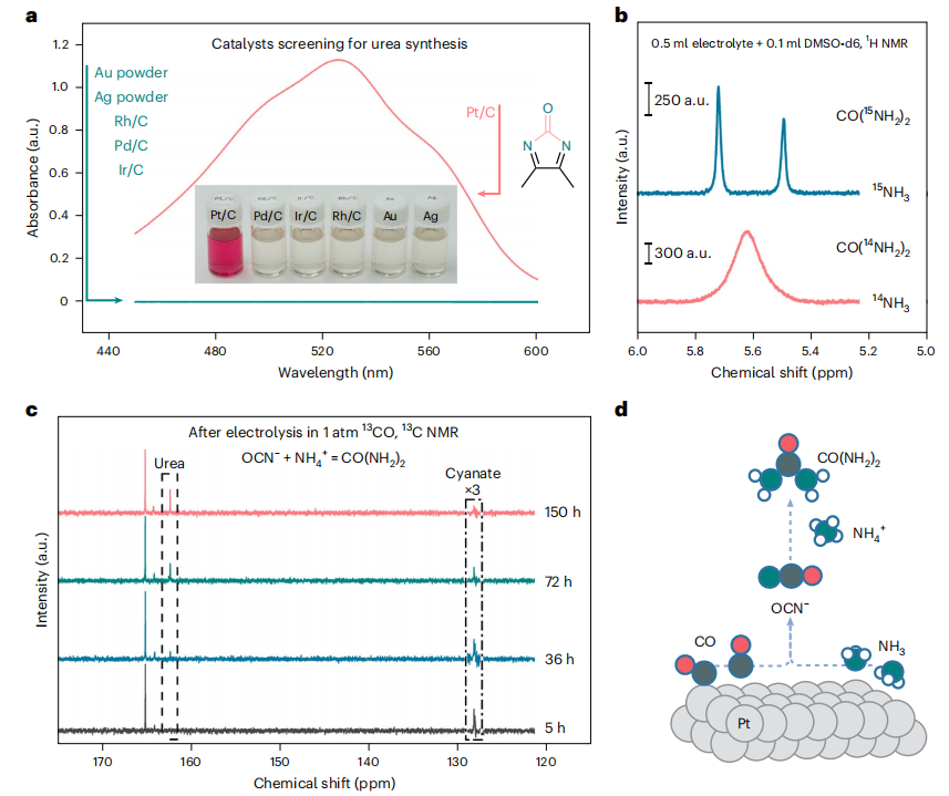 陸奇/徐冰君/程濤，最新Nature Catalysis！