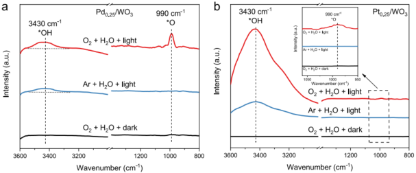 2023新晉院士，最新JACS！