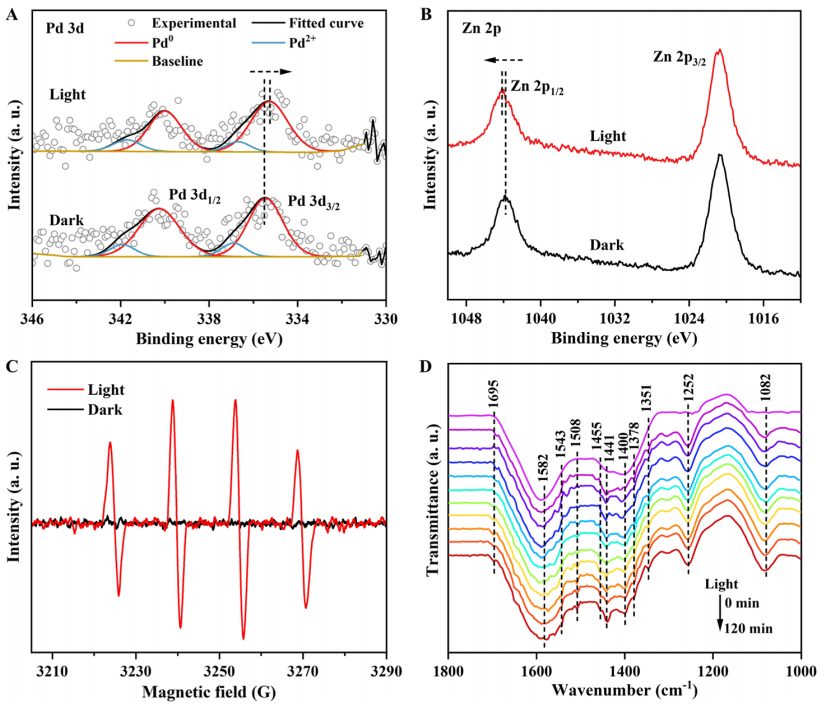 中科大謝毅院士，最新JACS！