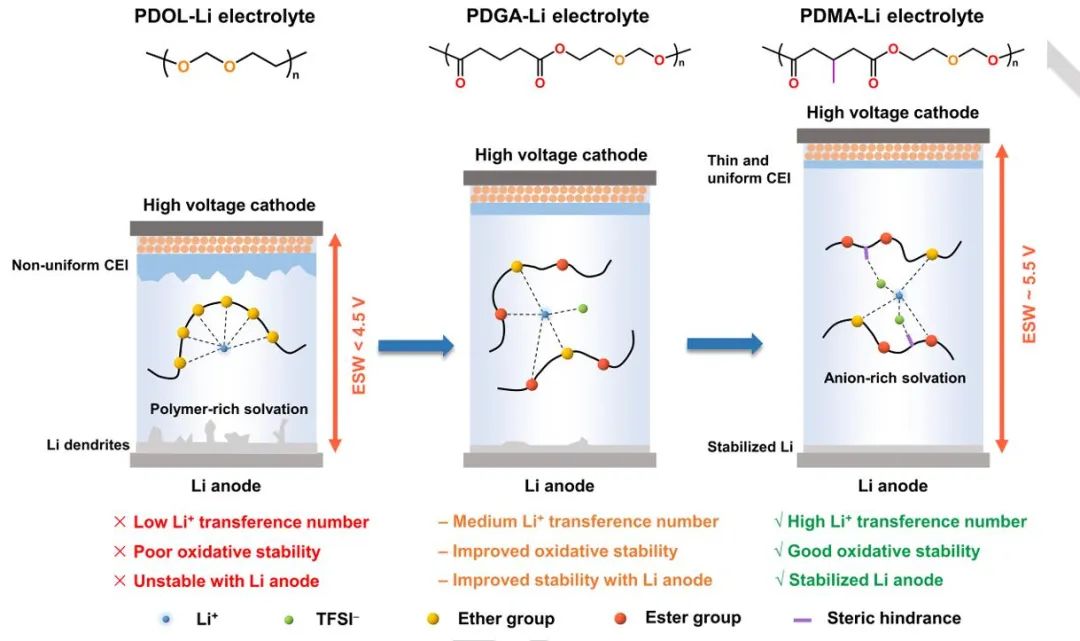 清華Angew：調(diào)控聚合物電解質(zhì)溶劑化結(jié)構(gòu)實現(xiàn)高壓鋰電池