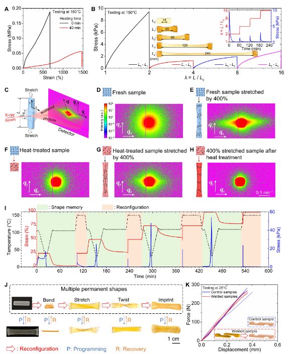 他，發(fā)表全球首篇“4D打印”論文，全球前2%頂尖科學(xué)家，最新Science子刊！