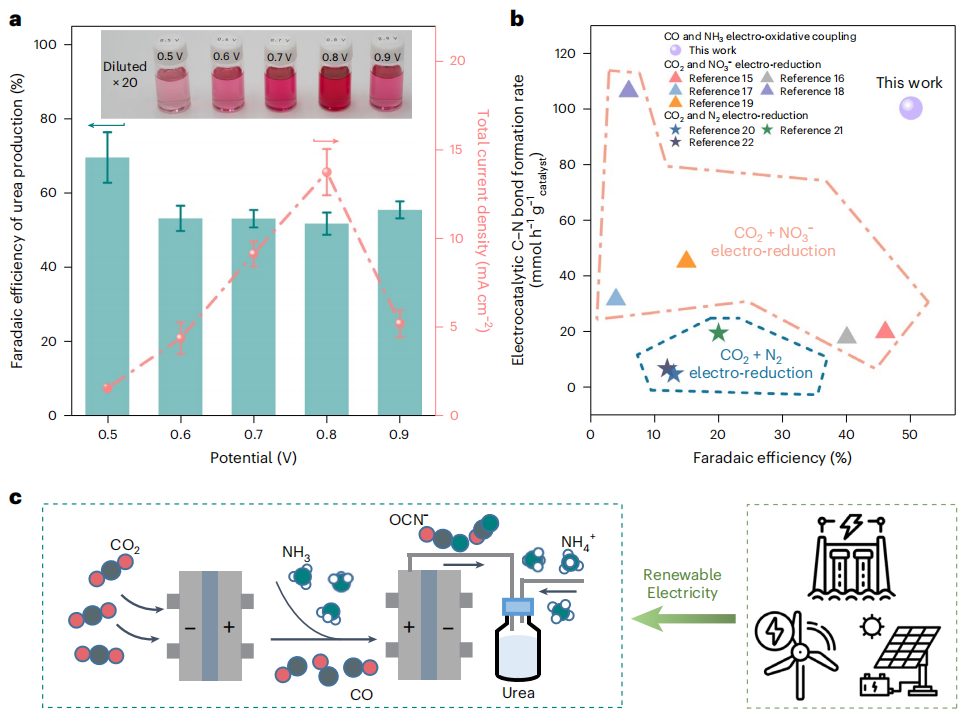 清華大學(xué)/北京大學(xué)/蘇州大學(xué)，三校聯(lián)手重磅Nature Catalysis！