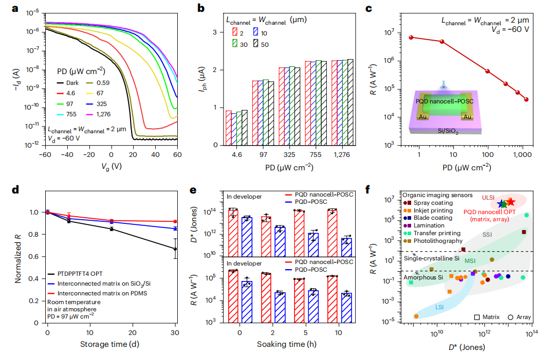 破解領(lǐng)域難題！復(fù)旦大學(xué)魏大程，最新Nature Nanotechnology！