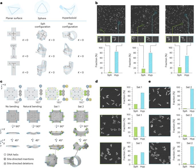 被院士稱為“美麗的誤會”！華東師大，最新Nature Chemistry，再解頂級難題!