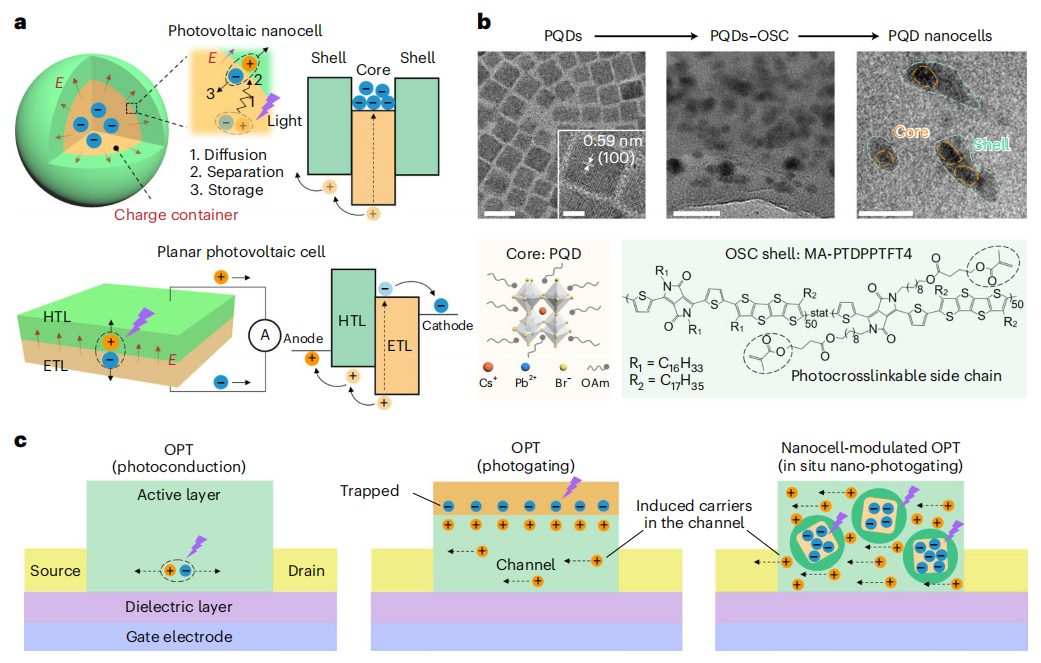 破解領(lǐng)域難題！復(fù)旦大學(xué)魏大程，最新Nature Nanotechnology！