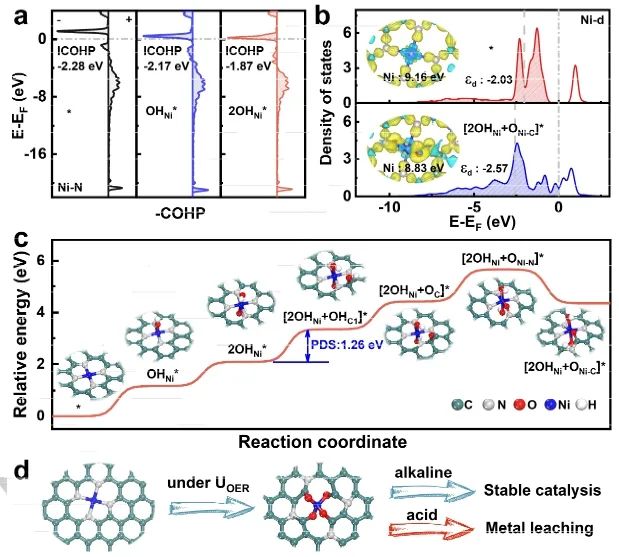 催化進展，8篇頂刊！EES、Angew、AFM、ACS Catalysis、Nano Letters等成果精選！