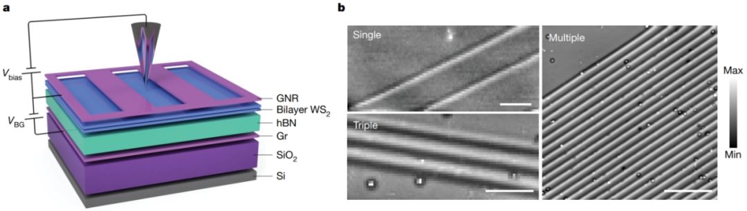 硬核！他，西安交大校友，一作兼通訊，2天連發(fā)Science、Nature！