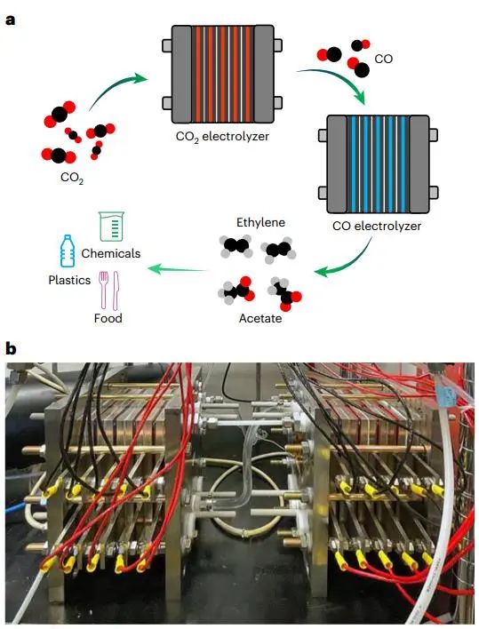 他，手握Nature，發(fā)表最新Nature子刊！千瓦級(jí)規(guī)模串聯(lián)CO2電解！