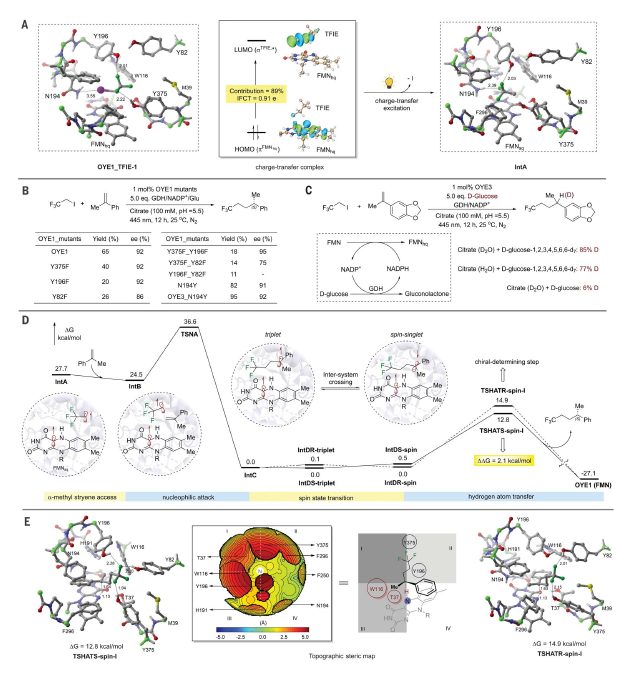 南開校友一作，中科大校友通訊！時隔一年，再發(fā)Science??！