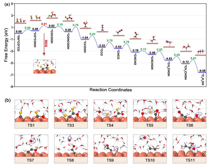 東南大學王金蘭/凌崇益團隊，最新ACS Catalysis！