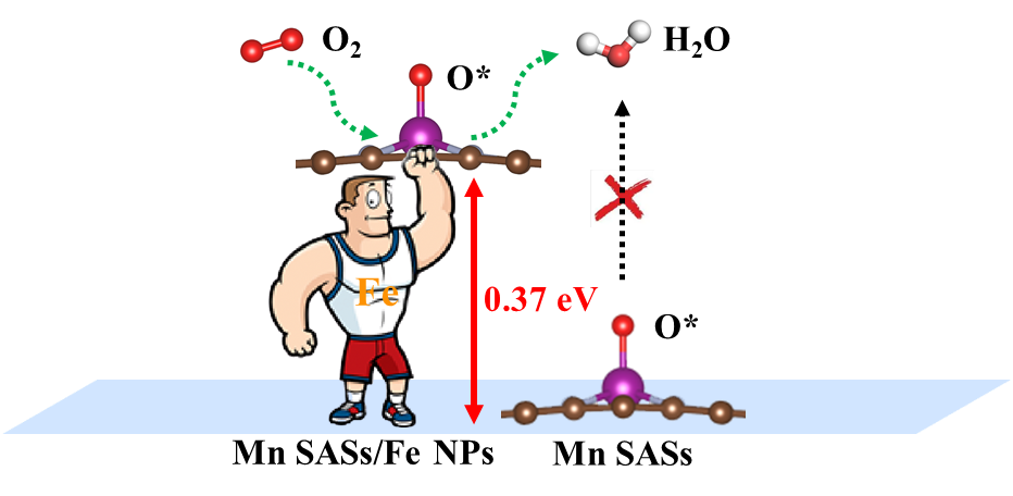 AFM！電子效應(yīng)誘導(dǎo)姜-泰勒畸變激活單原子氧還原活性