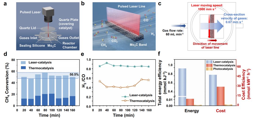 濟南大學周偉家/趙莉莉&北京大學馬丁，最新Nature子刊！