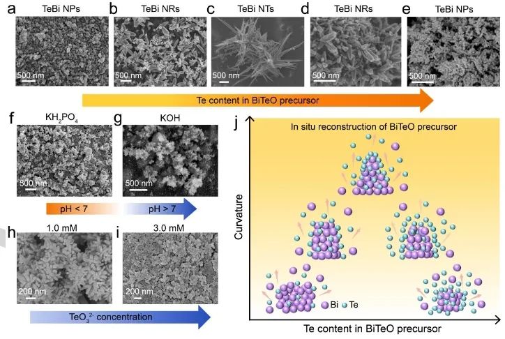 催化進展，8篇頂刊！EES、Angew、AFM、ACS Catalysis、Nano Letters等成果精選！