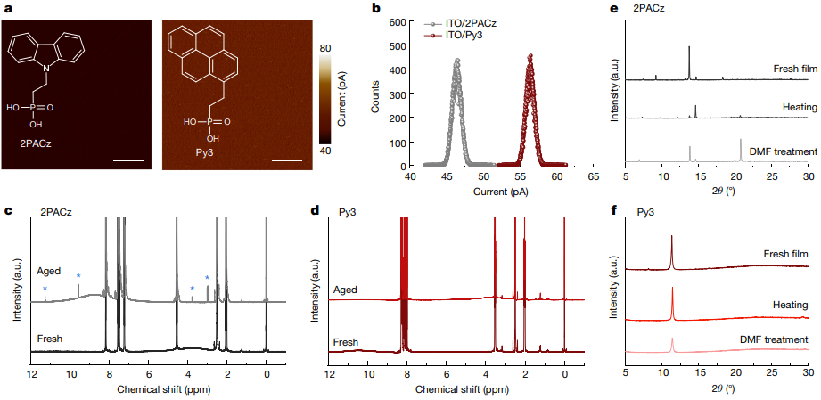 浙大薛晶晶&西湖大學(xué)王睿，最新Nature！