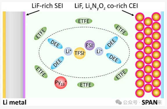 四單位聯(lián)合！ACS Energy Letters：配位陰離子富集電解質(zhì)用于貧電解質(zhì)鋰-硫電池