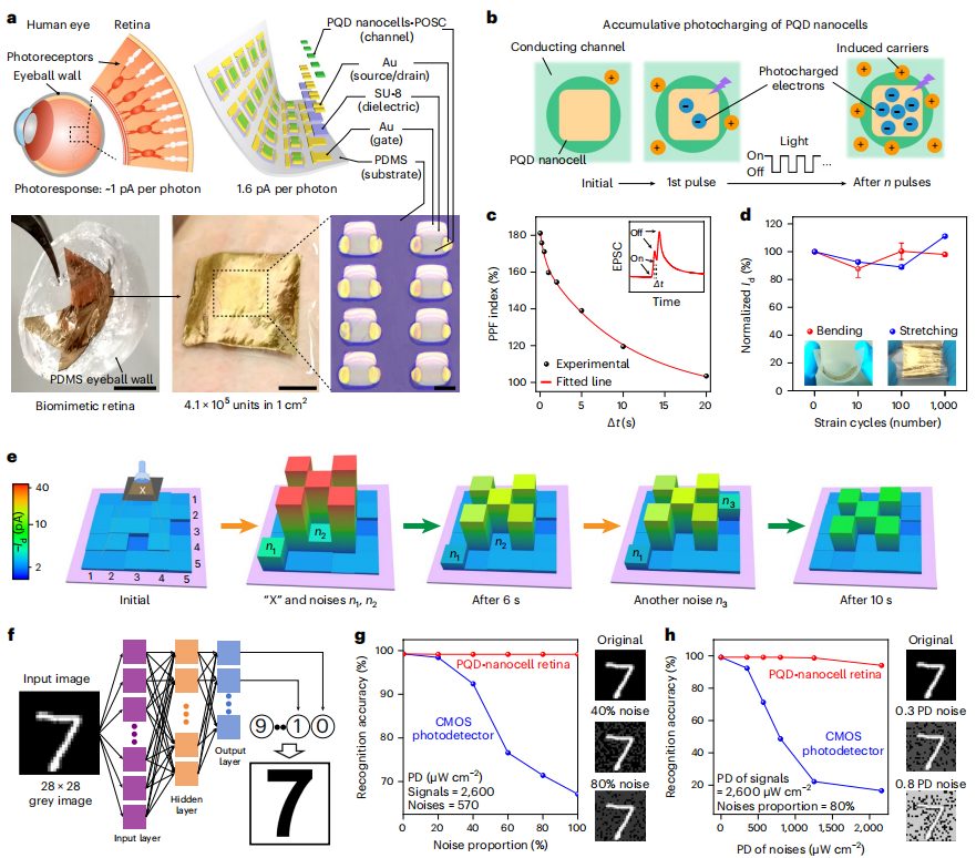 破解領(lǐng)域難題！復旦大學，最新Nature Nanotechnology！