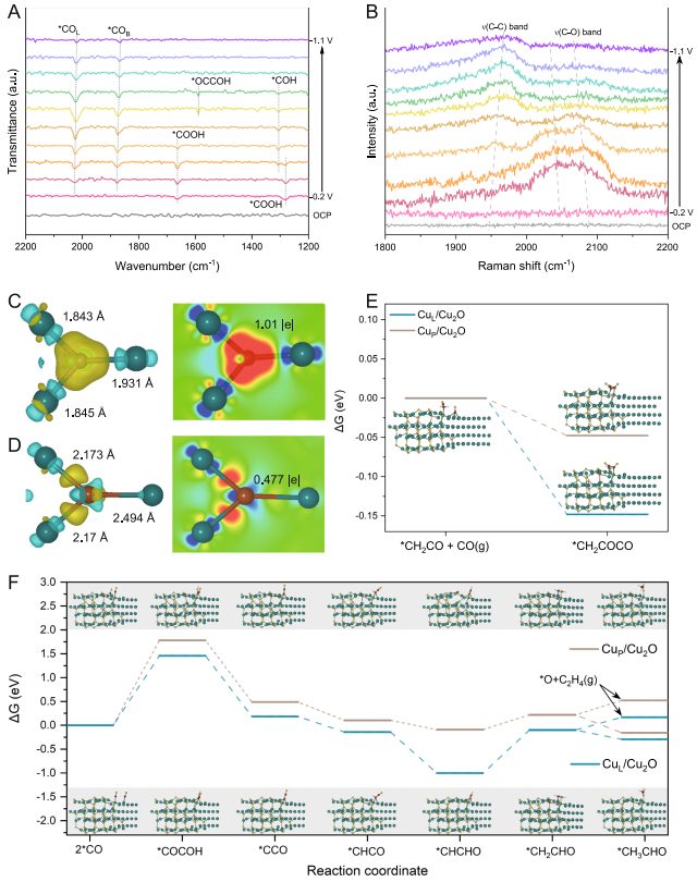 中科大章根強，最新Nature子刊！