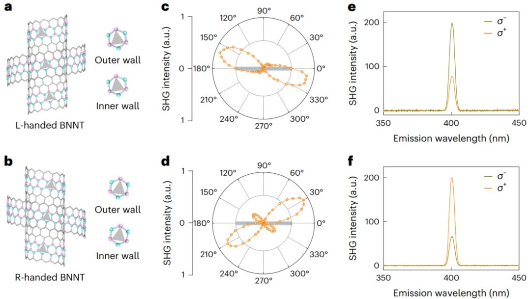 北京大學，新發(fā)Nature Nanotechnology！