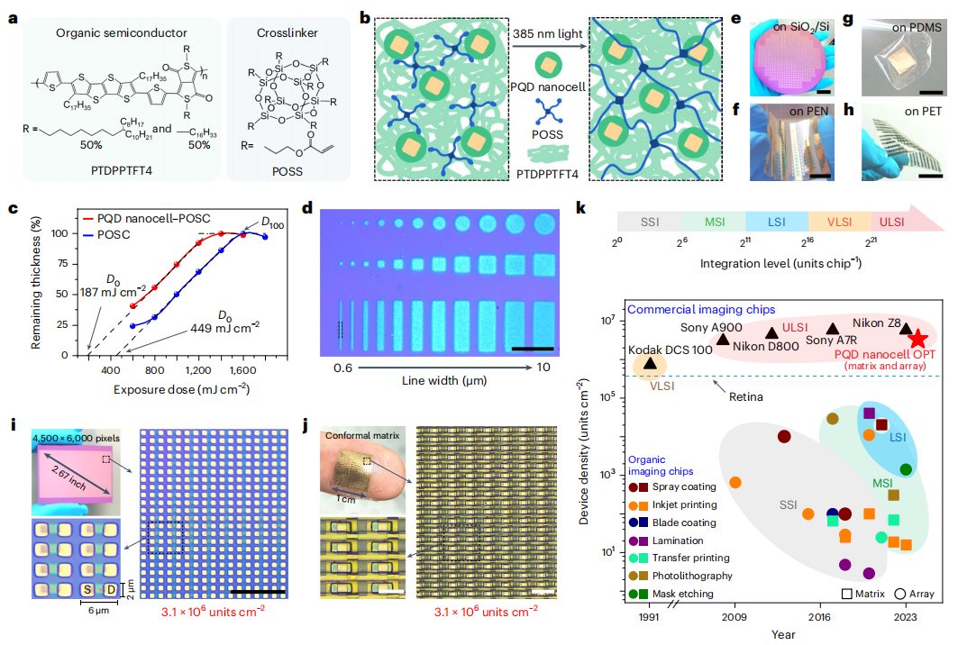 破解領(lǐng)域難題！復(fù)旦大學(xué)魏大程，最新Nature Nanotechnology！