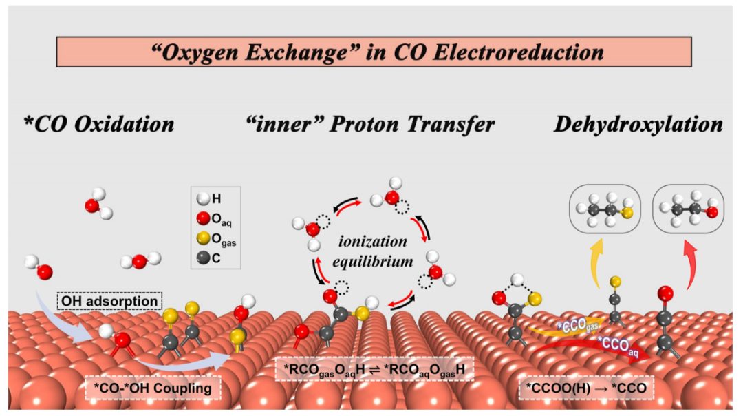 東南大學王金蘭/凌崇益團隊，最新ACS Catalysis！