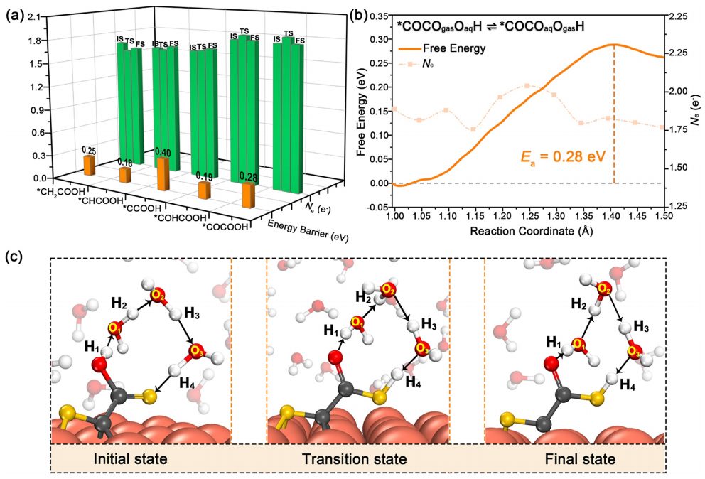 東南大學王金蘭/凌崇益團隊，最新ACS Catalysis！