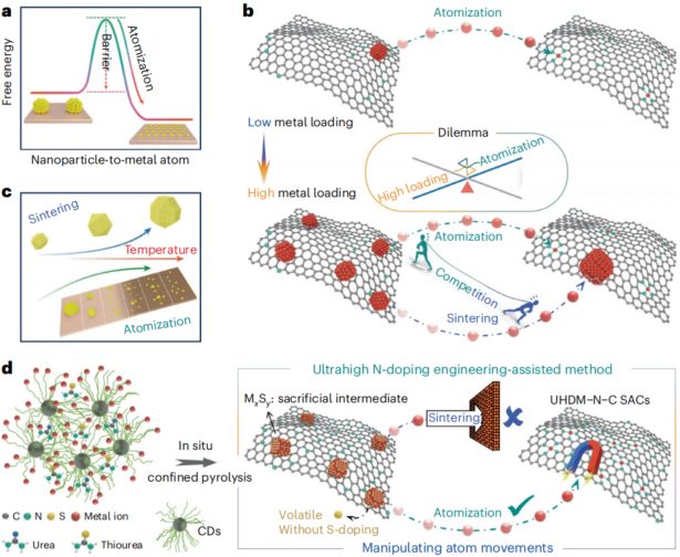 盧思宇&段鑲鋒，最新Nature Synthesis！