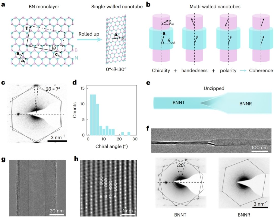 北京大學，新發(fā)Nature Nanotechnology！