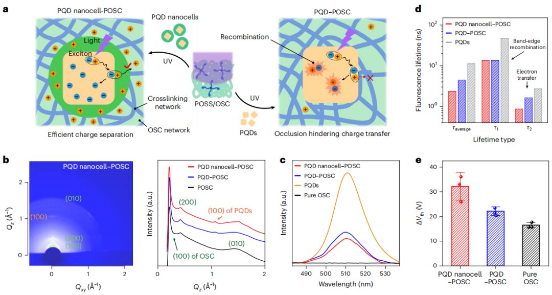 破解領(lǐng)域難題！復(fù)旦大學(xué)魏大程，最新Nature Nanotechnology！