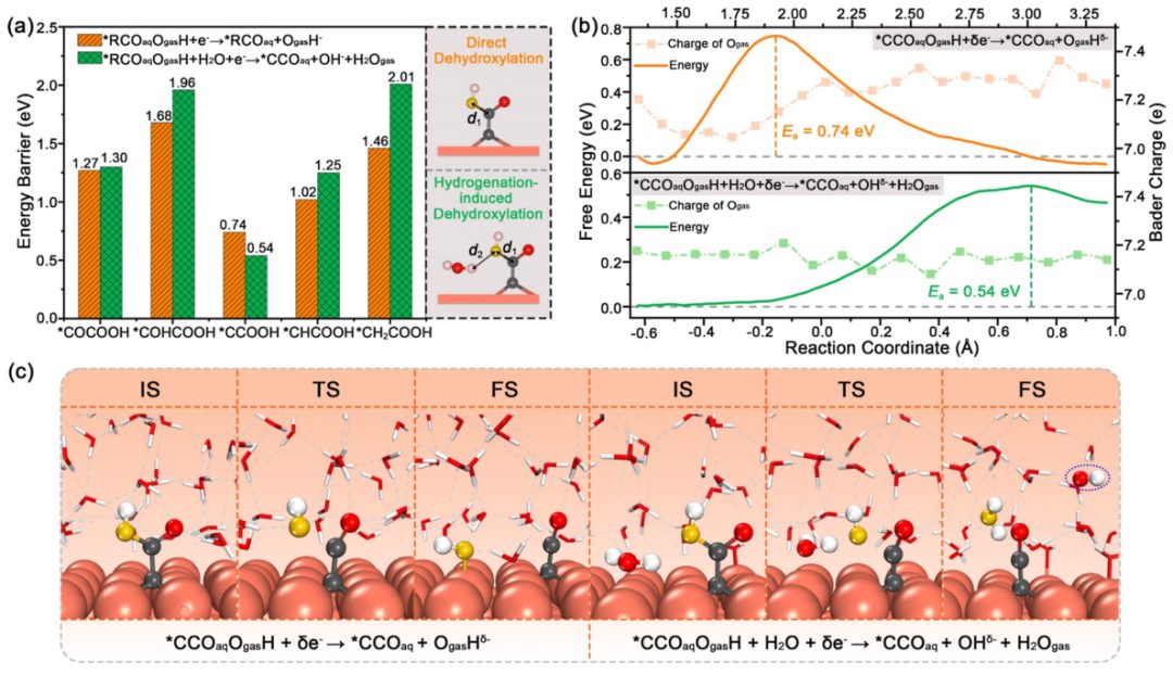 東南大學王金蘭/凌崇益團隊，最新ACS Catalysis！