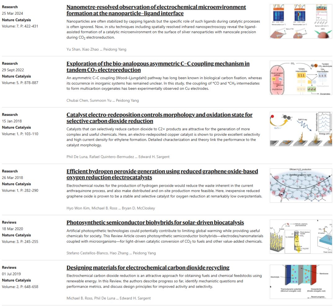 Si納米線“再續(xù)傳奇”！三院院士楊培東，最新Nature Catalysis！