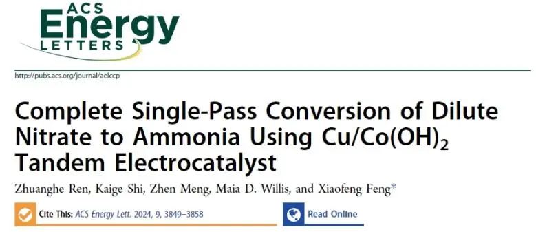 ?馮小峰ACS Energy Lett.: 構(gòu)建Cu/Co(OH)2串聯(lián)催化劑，實(shí)現(xiàn)NO3?完全轉(zhuǎn)化為NH3