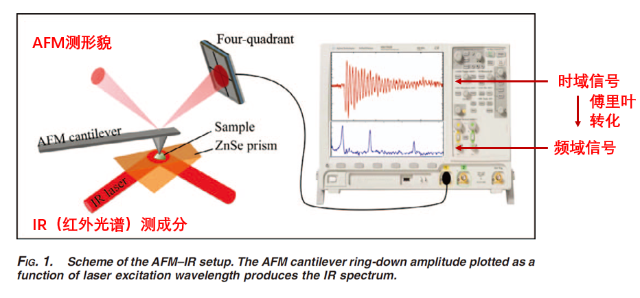 ?明星材料SAM，如何表征？用AFM-IR征服Nature??！